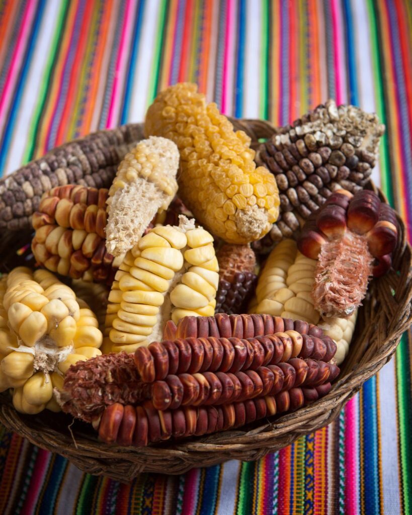 Cestería, Artesanía en Perú