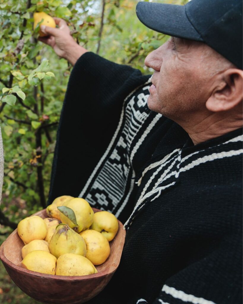 Tejido en telar mapuche